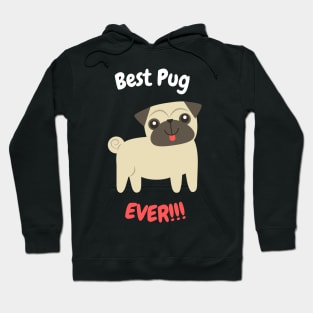 Best Pug Ever Hoodie